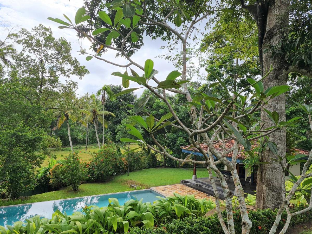 The Mugatiya Villa Ahangama Exterior photo